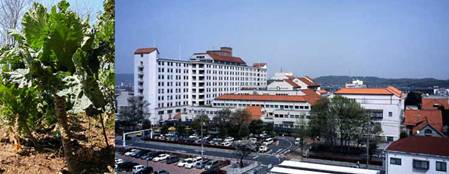 �C���[�W 1
�I���W�i���̃T�C�Y�̉摜������ꍇ�̓N���b�N���Ă��������B