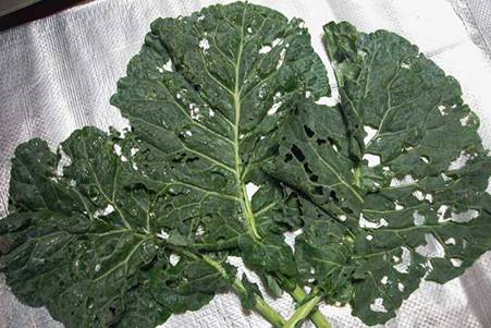 �C���[�W 1
�I���W�i���̃T�C�Y�̉摜������ꍇ�̓N���b�N���Ă��������B